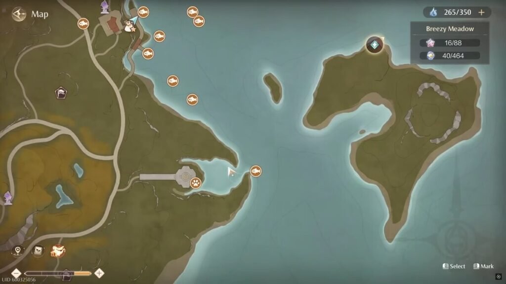 Pink Ribbon Eel locations marked on the map in Infinity Nikki.